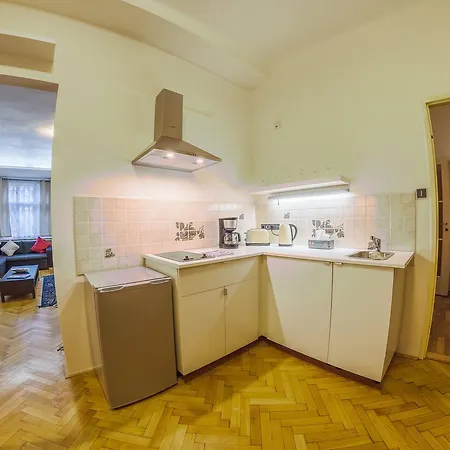 Superior Flat In The Center Praga